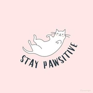 Meet your Posher, Naomi